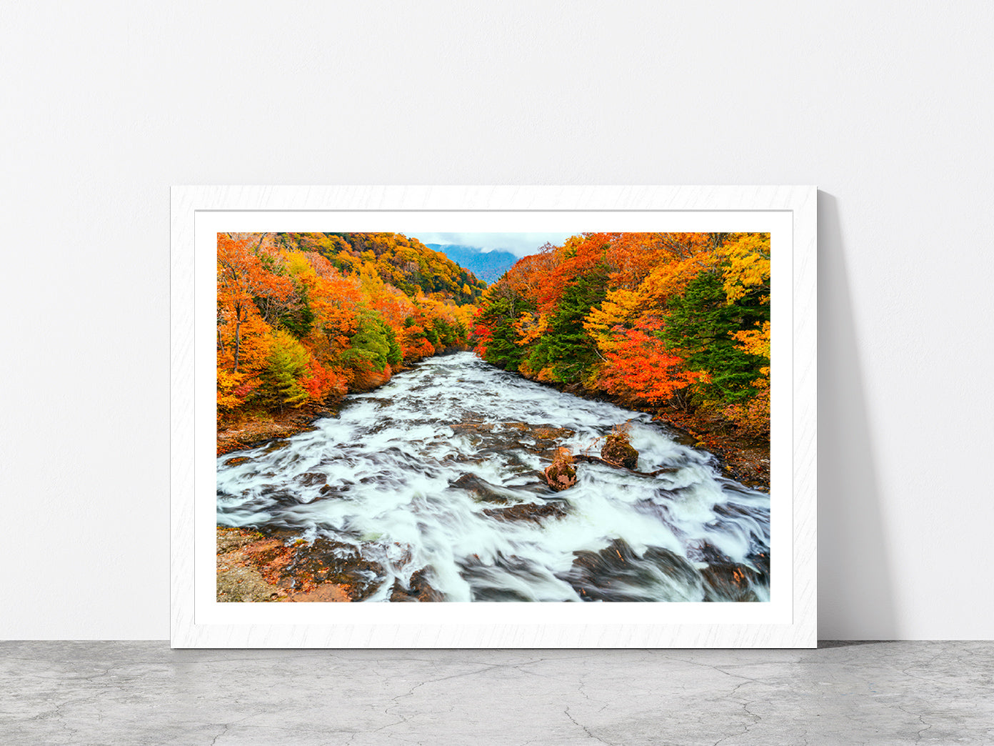 Yukawa River In Autumn Forest Glass Framed Wall Art, Ready to Hang Quality Print With White Border White