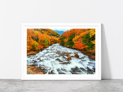 Yukawa River In Autumn Forest Glass Framed Wall Art, Ready to Hang Quality Print With White Border White