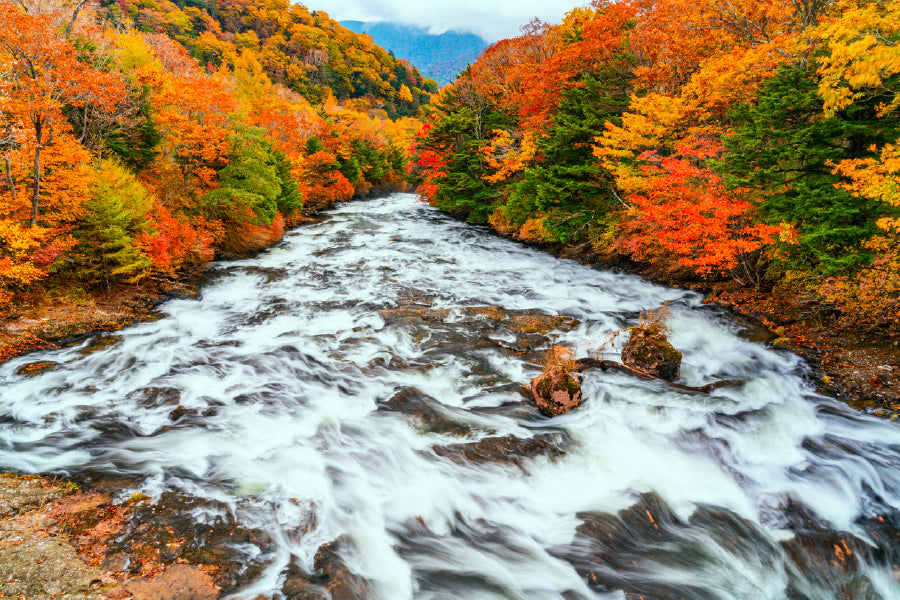 Yukawa River In Autumn Forest Glass Framed Wall Art, Ready to Hang Quality Print