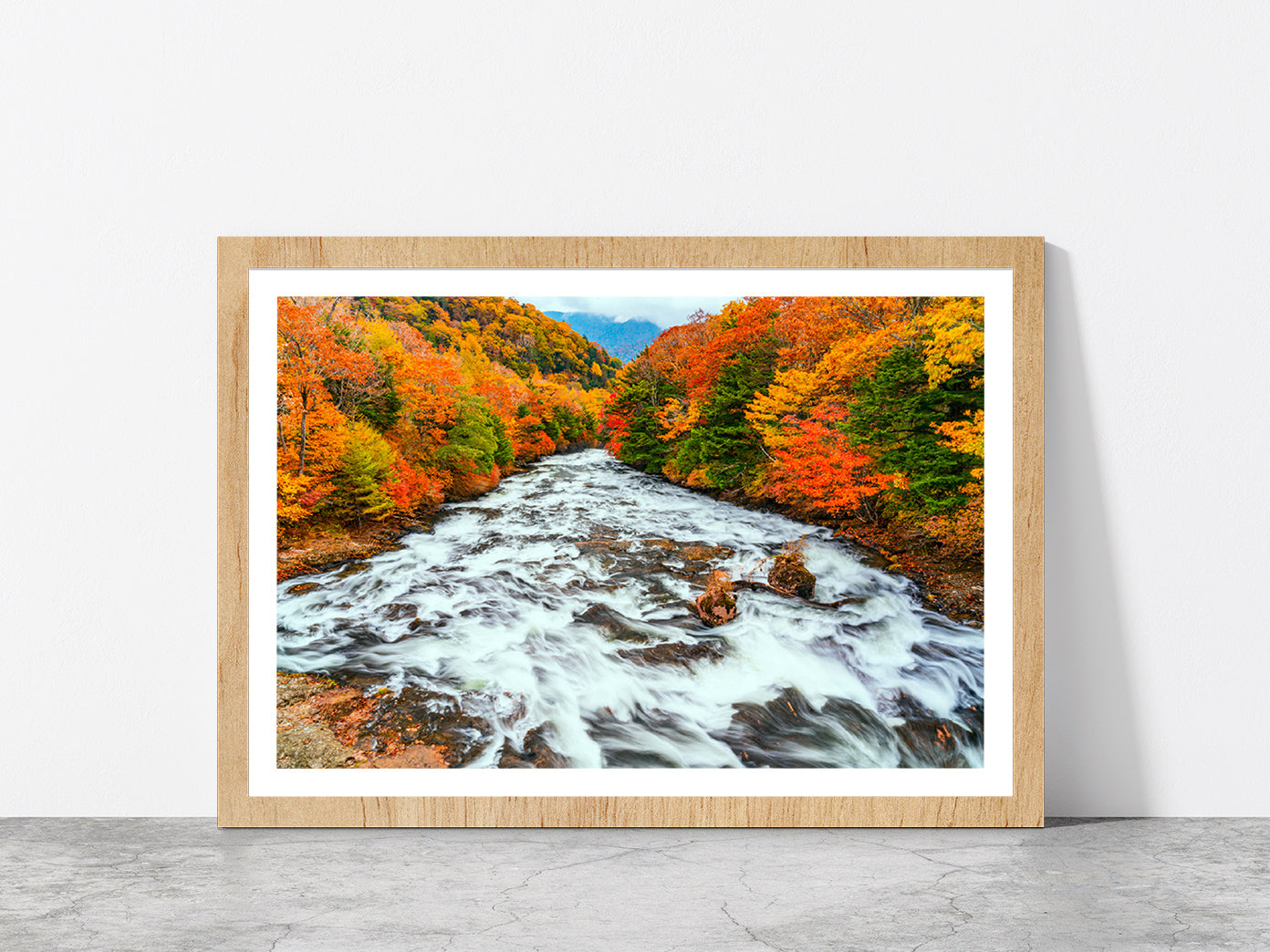 Yukawa River In Autumn Forest Glass Framed Wall Art, Ready to Hang Quality Print With White Border Oak