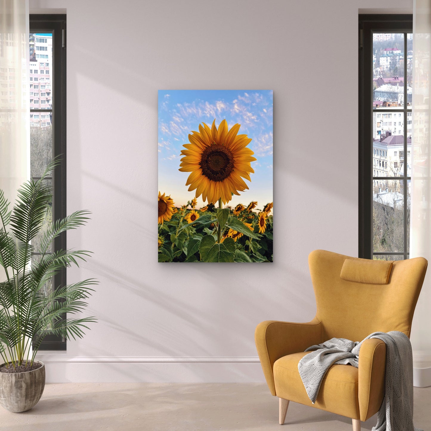 Sunflowers in a Field at Sunset 40x60cm Metal Print Ready to Hang
