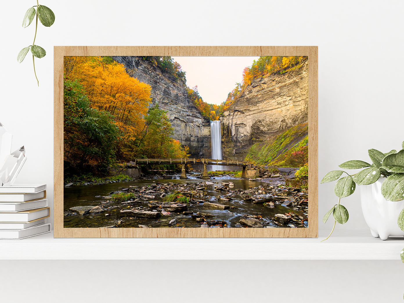 Taughannock Falls State Park Glass Framed Wall Art, Ready to Hang Quality Print Without White Border Oak