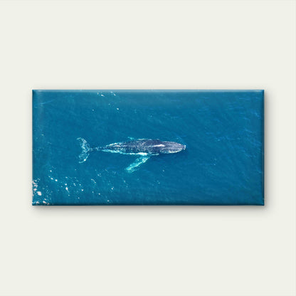Blue Whale Sea Landscape Wall Art Canvas Office Home Room Framed 120x60cm