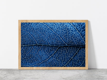 Autumn Blue Leaf With Brown Spots Glass Framed Wall Art, Ready to Hang Quality Print Without White Border Oak
