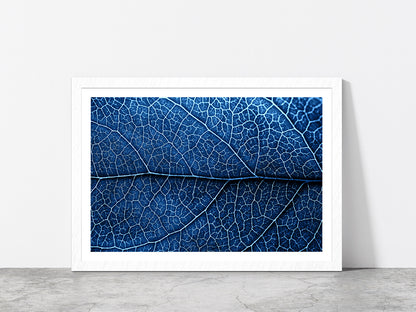 Autumn Blue Leaf With Brown Spots Glass Framed Wall Art, Ready to Hang Quality Print With White Border White