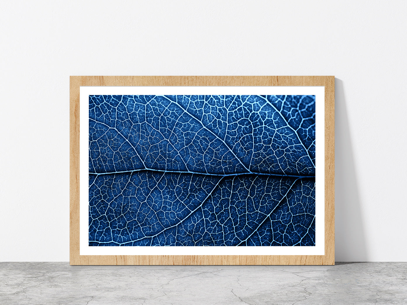 Autumn Blue Leaf With Brown Spots Glass Framed Wall Art, Ready to Hang Quality Print With White Border Oak