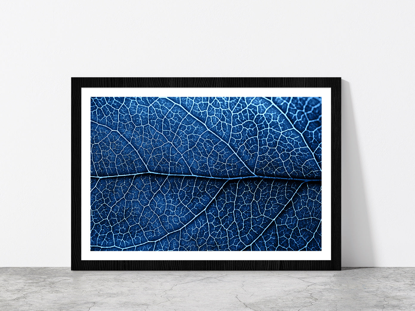 Autumn Blue Leaf With Brown Spots Glass Framed Wall Art, Ready to Hang Quality Print With White Border Black
