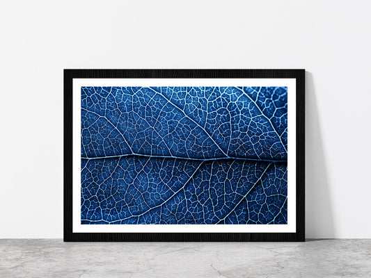 Autumn Blue Leaf With Brown Spots Glass Framed Wall Art, Ready to Hang Quality Print With White Border Black