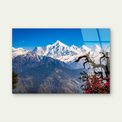 Mountain Kosciuszko Snowy Peak Blossom Acrylic Glass Printing Wall Art Australian Made Quality