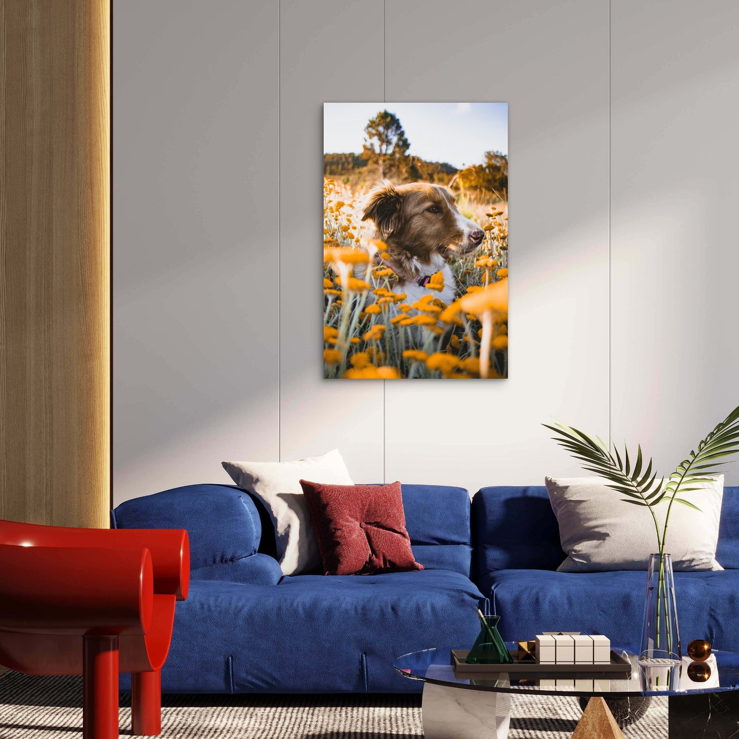 Brown and White Border Collie in Yellow Flower Field 40x60cm Metal Print Ready to Hang