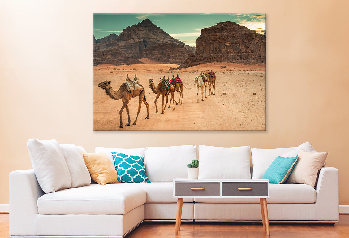 Camels in Wadi Rum Desert, Jordan Wall Art Decor 100% Australian Made