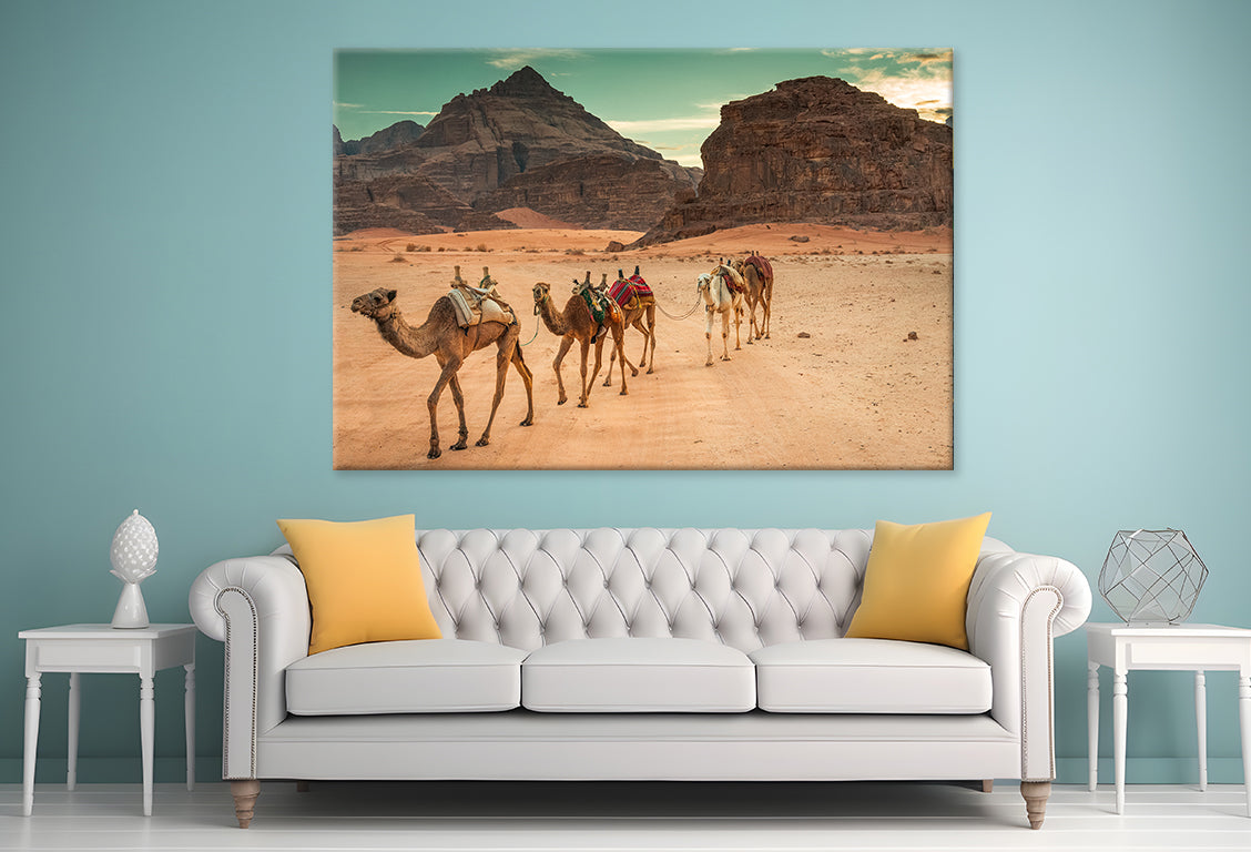 Camels in Wadi Rum Desert, Jordan Wall Art Decor 100% Australian Made