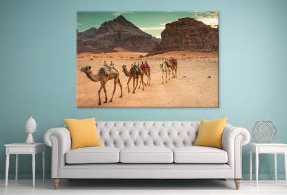Camels in Wadi Rum Desert, Jordan Wall Art Decor 100% Australian Made