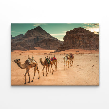 Camels in Wadi Rum Desert, Jordan Wall Art Decor 100% Australian Made