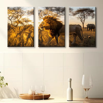 3pcs Majestic Lion Illustration Wall Art Set Canvas Framed 40x60cm - High Quality Print 100% Australian Made Wall Canvas Ready to Hang