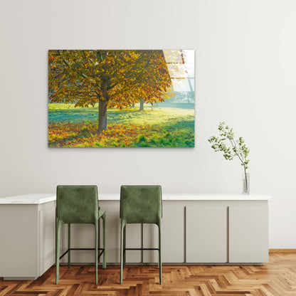 Golden Autumn Tree Tempered Glass Printing Wall Art Australian Made Quality