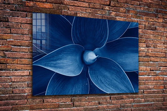 Blue Flower Closeup UV Direct Aluminum Print Australian Made Quality