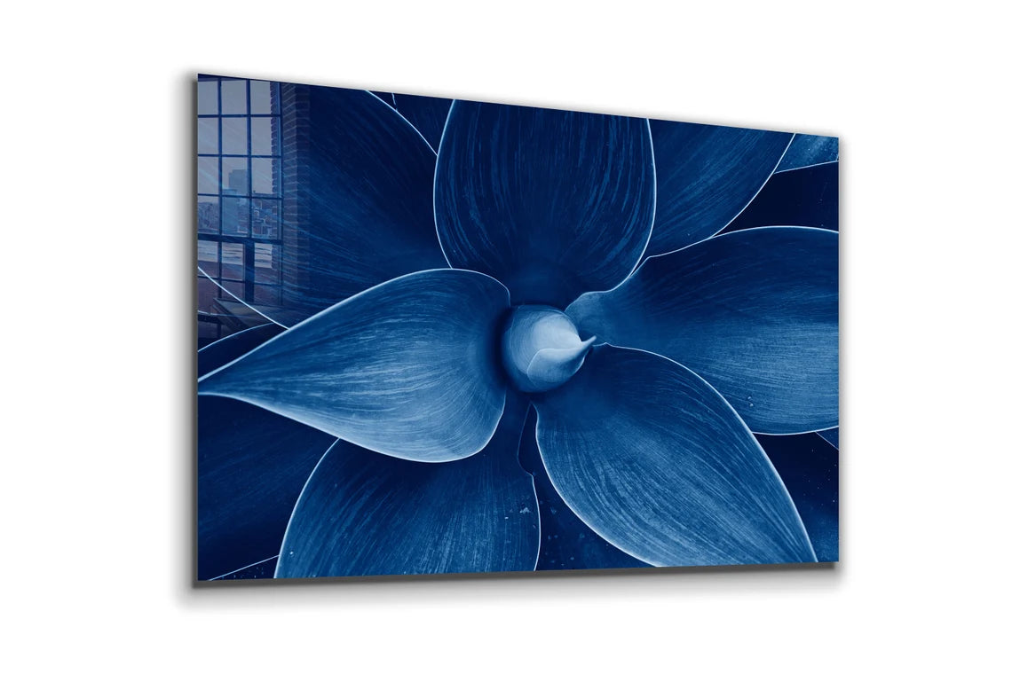 Blue Flower Closeup UV Direct Aluminum Print Australian Made Quality