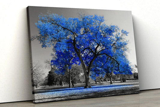 Large Blue tree black white UV Direct Aluminum Print Australian Made Quality