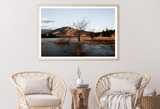 A Lake with a Tree with Mountains Home Decor Premium Quality Poster Print Choose Your Sizes