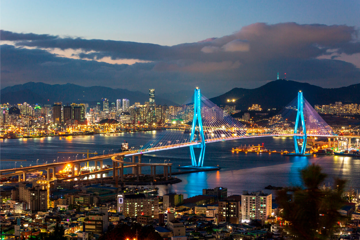 Busan Korea Night City Skyline Wall Art Decor 100% Australian Made