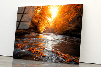 Orange autumn on The River Acrylic Glass Print Tempered Glass Wall Art 100% Made in Australia Ready to Hang - Bella Home Decor