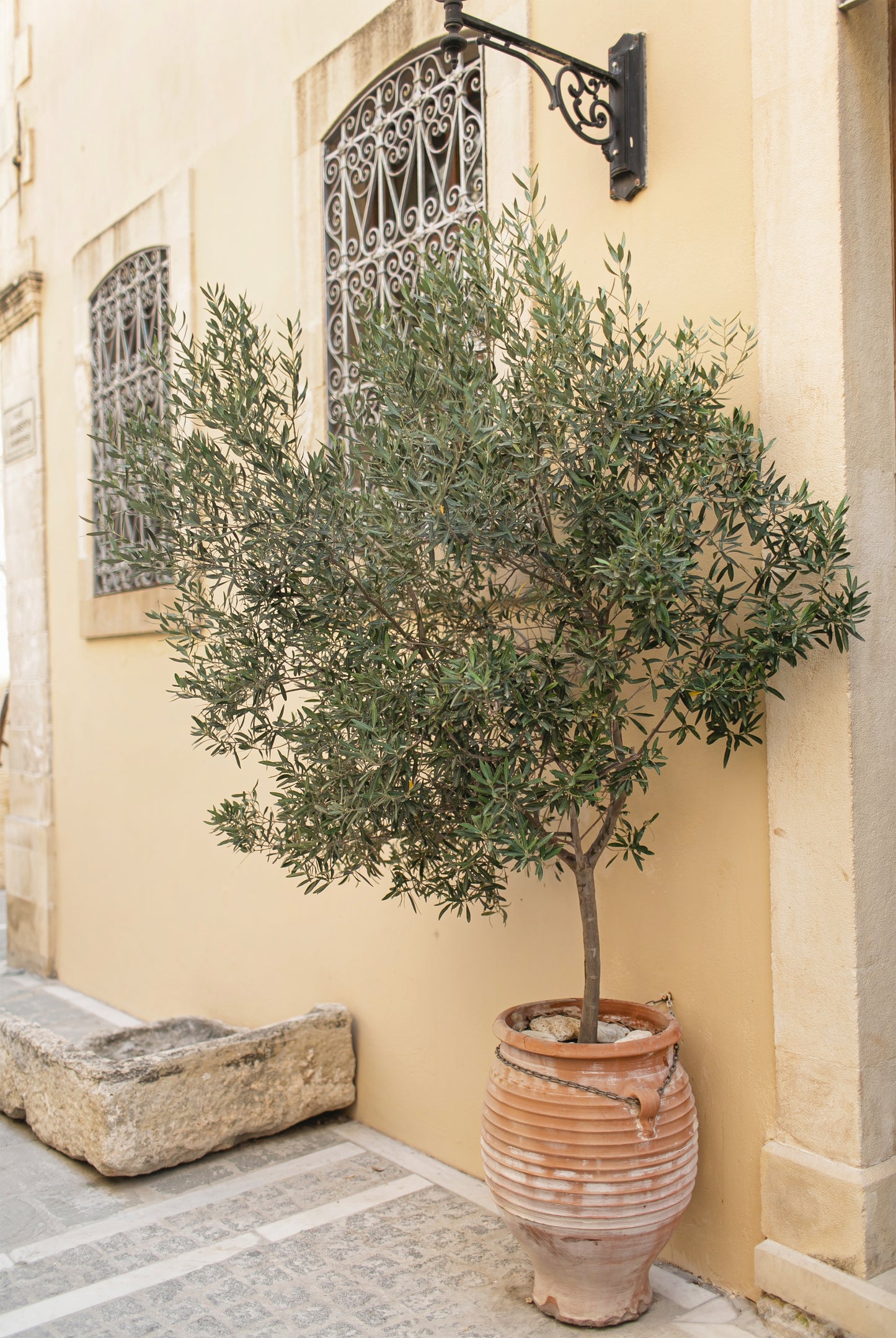 Mediterranean Courtyard with a Potted Olive Tree Wall Art Decor 100% Australian Made - Bella Home Decor
