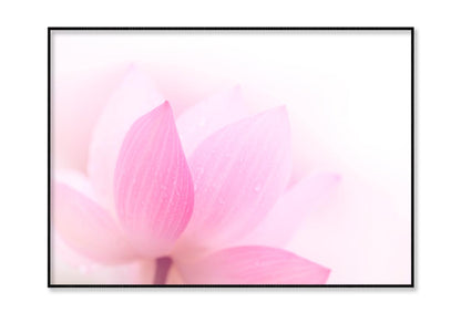 Closeup On Lotus Petal Home Decor Premium Quality Poster Print Choose Your Sizes