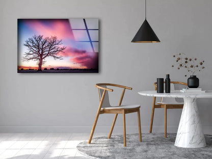 Dead Tree & Sunset Sky UV Direct Aluminum Print Australian Made Quality