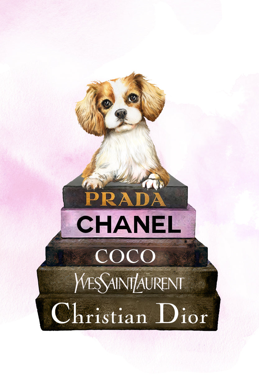 Dog On Book set Fashion Art Design Home Decor Premium Quality Poster Print Choose Your Sizes