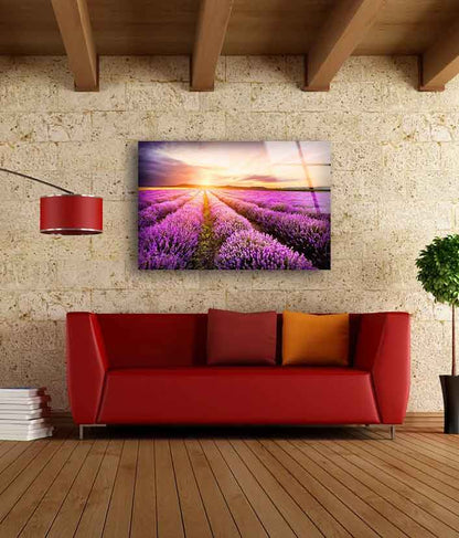 Lavender Field Sunset UV Direct Aluminum Print Australian Made Quality