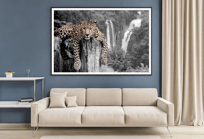 Tiger Blue Eyes Decor Premium Quality Poster Print Choose Your Sizes