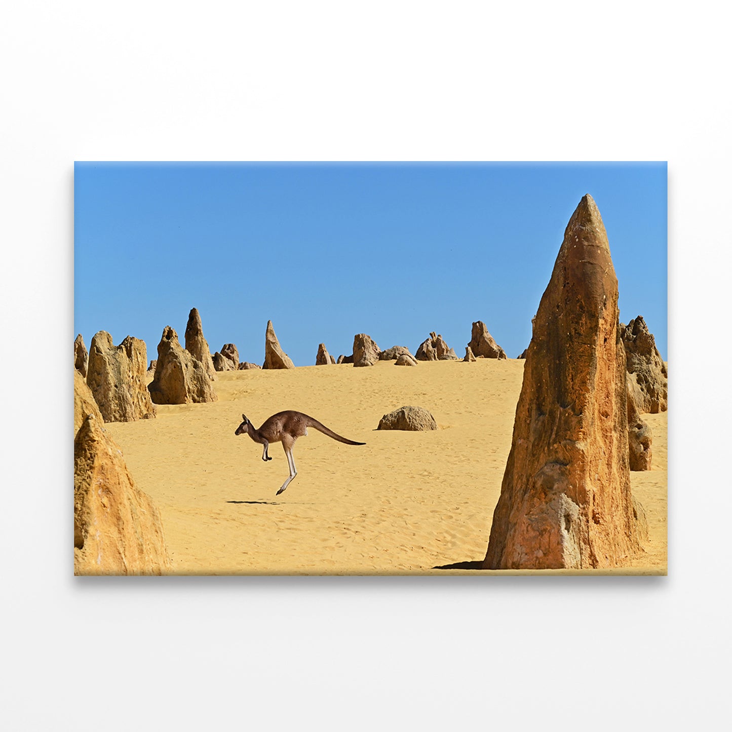 The Pinnacles Desert Western Australia Kangaroo Wall Art Decor 100% Australian Made