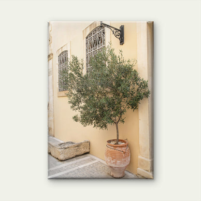 Mediterranean Courtyard with a Potted Olive Tree Wall Art Decor 100% Australian Made - Bella Home Decor