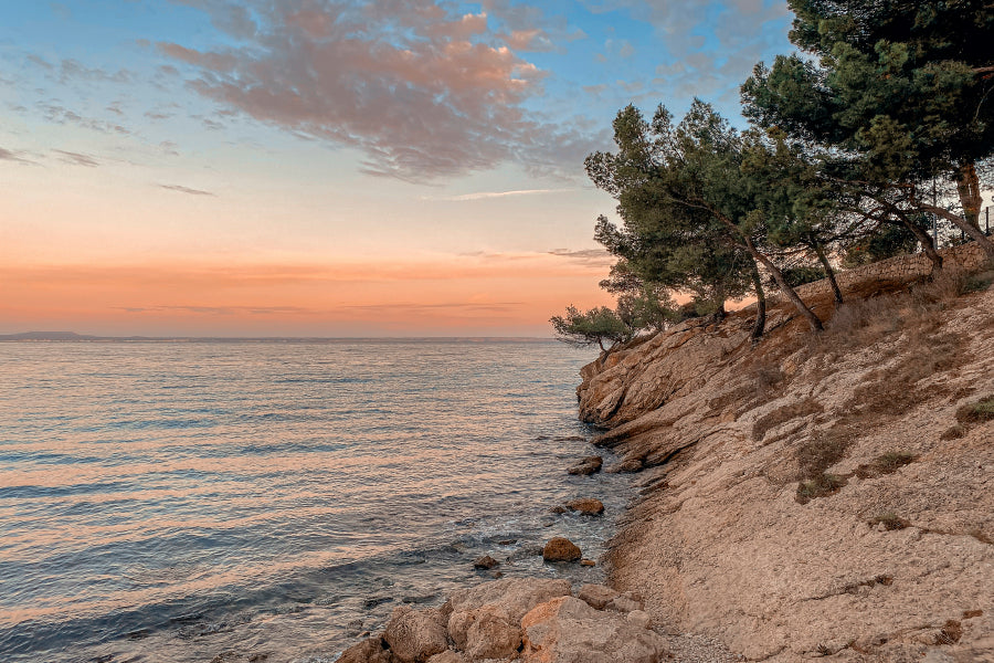 Sunset At the Sea on A Rocky Coast with Pine Trees Acrylic Glass Print Tempered Glass Wall Art 100% Made in Australia Ready to Hang