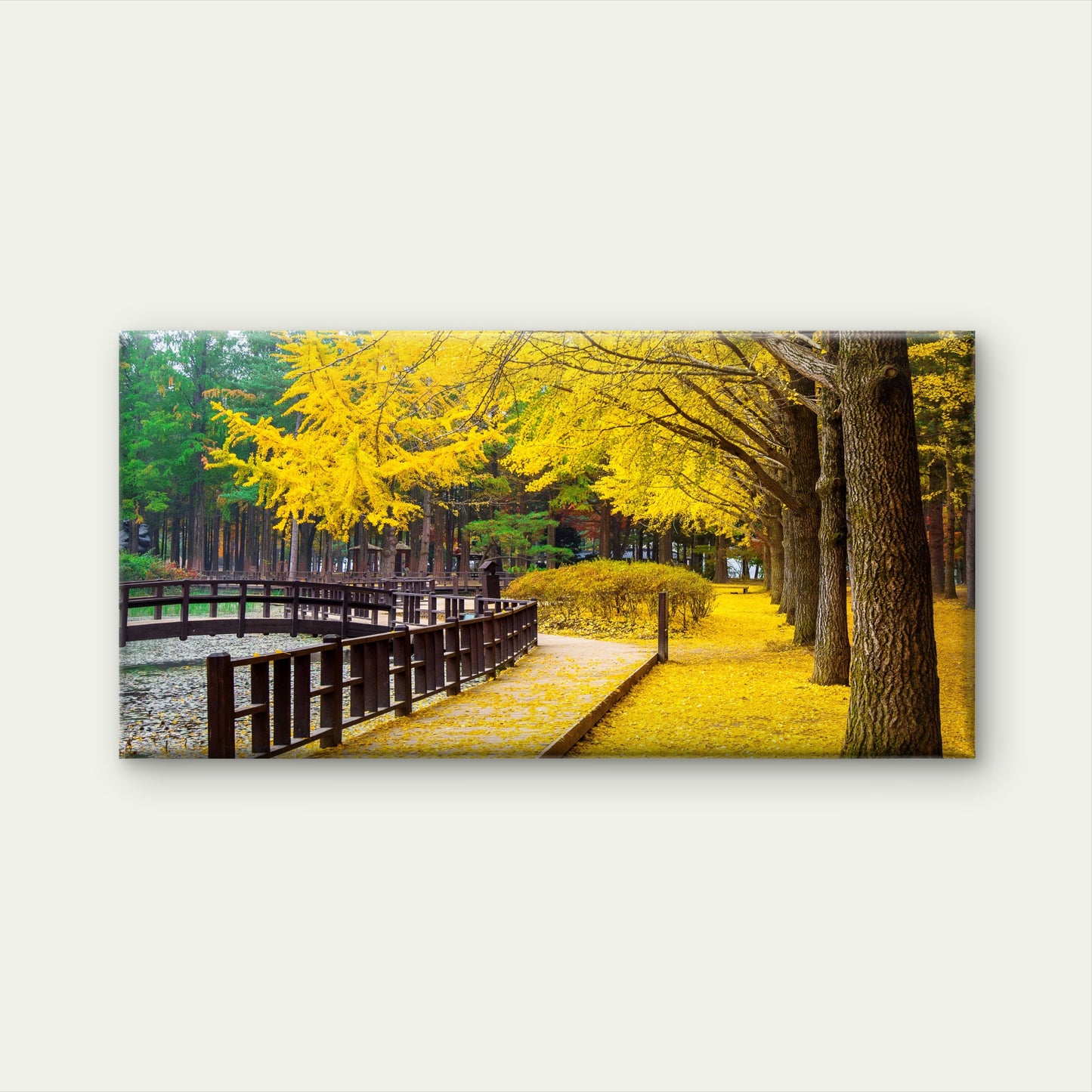Autumn With Ginkgo Tree Nami Island Korea Wall Art Canvas Office Home Room Framed 120x60cm
