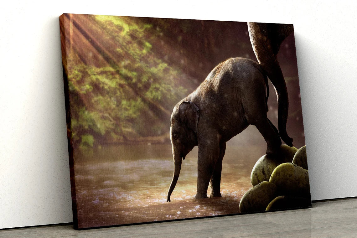 Baby Elephant in river UV Direct Aluminum Print Australian Made Quality