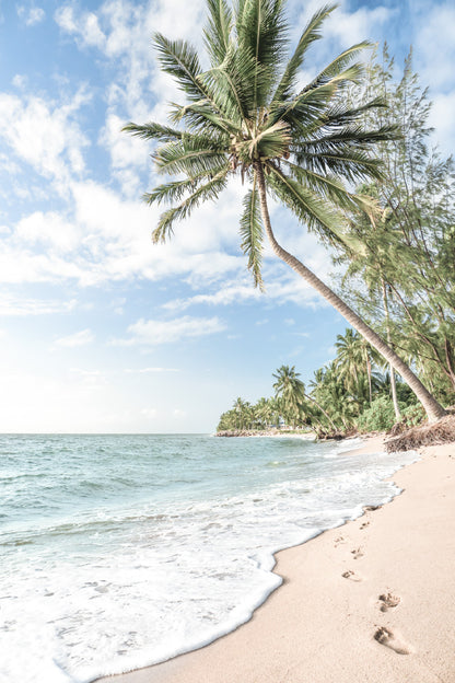 Palm Tree & Sandy Beach View Photograph Glass Framed Wall Art, Ready to Hang Quality Print