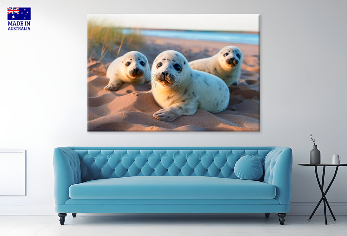 Harbour Seals Animal Resting on the Beach Wall Art Decor 100% Australian Made