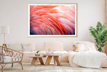 Close Up View of Pink Flamingo Feathers Home Decor Premium Quality Poster Print Choose Your Sizes