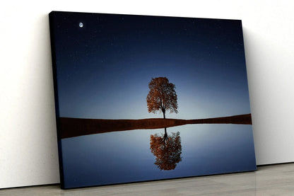 Tree with river reflection Scene UV Direct Aluminum Print Australian Made Quality