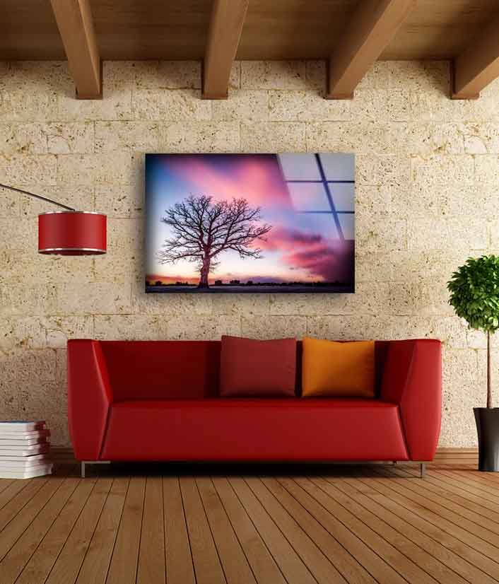 Dead Tree & Sunset Sky UV Direct Aluminum Print Australian Made Quality