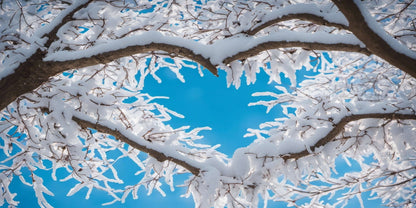 Snow Covered Winter Tree Branches Sky Wall Art Canvas Office Home Framed 120x60cm - Bella Home Decor