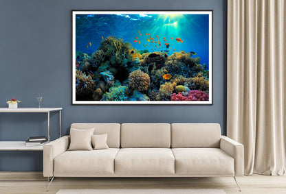 Beautiful Coral Reef and Mach Fish Home Decor Premium Quality Poster Print Choose Your Sizes