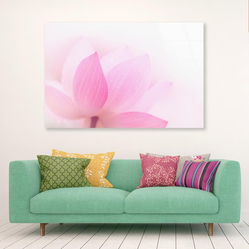 Closeup On Lotus Petal Acrylic Glass Print Tempered Glass Wall Art 100% Made in Australia Ready to Hang