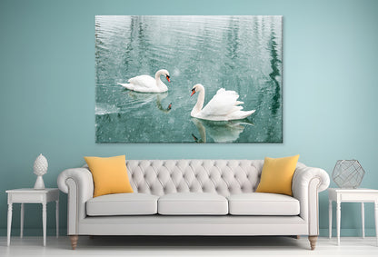 White Swans Swimming in Winter Wall Art Decor 100% Australian Made - Bella Home Decor