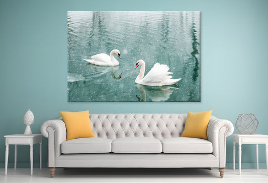White Swans Swimming in Winter Wall Art Decor 100% Australian Made - Bella Home Decor