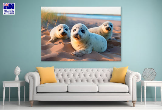 Harbour Seals Animal Resting on the Beach Wall Art Decor 100% Australian Made