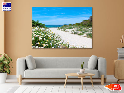 Pathway through the Sand Dunes Sardinia 90x60cm Print 100% Australian Made