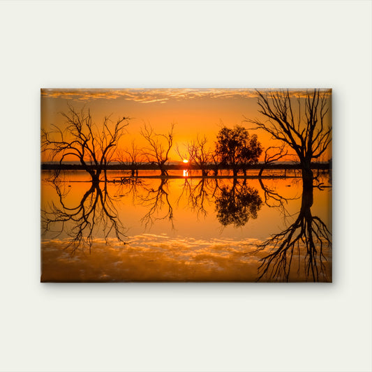 Beautiful sunrise over Lake Pinaroo in outback Australia  Wall Art Decor 100% Australian Made